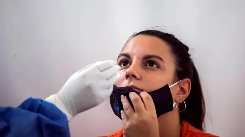 Un tampone - Foto Ansa  © www.giornaledibrescia.it