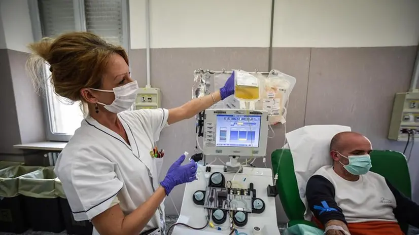 Un donatore Avis si sottopone alla plasmaferesi - Foto Ansa/Matteo Corner