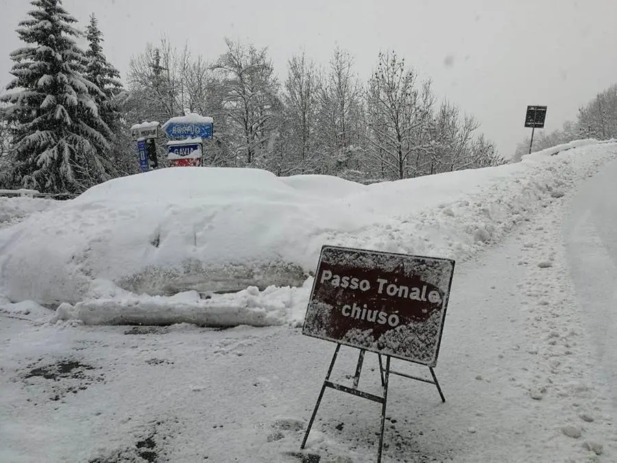 Neve in abbondanza e Passo del Tonale chiuso al traffico - © www.giornaledibrescia.it