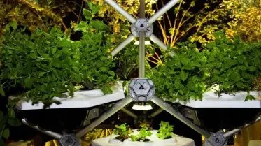 L’orto in casa: è Living Farming Tree presentato da Hexagro