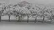 Neve nel Bresciano
