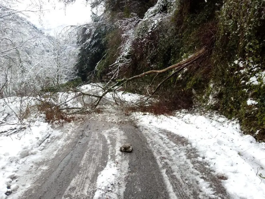 Strada della Forra, chiusa per neve e danni alle reti paramassi