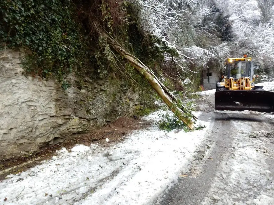 Strada della Forra, chiusa per neve e danni alle reti paramassi