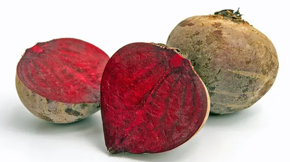 Barbabietole rosse