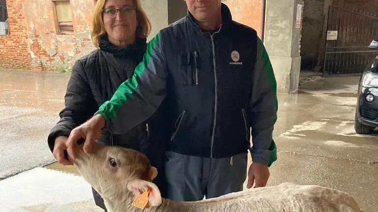 Mandria sterminata dal botulino, gara di generosità