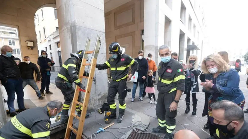 Vigili del fuoco recuperano un gatto finito nella bocca di lupo