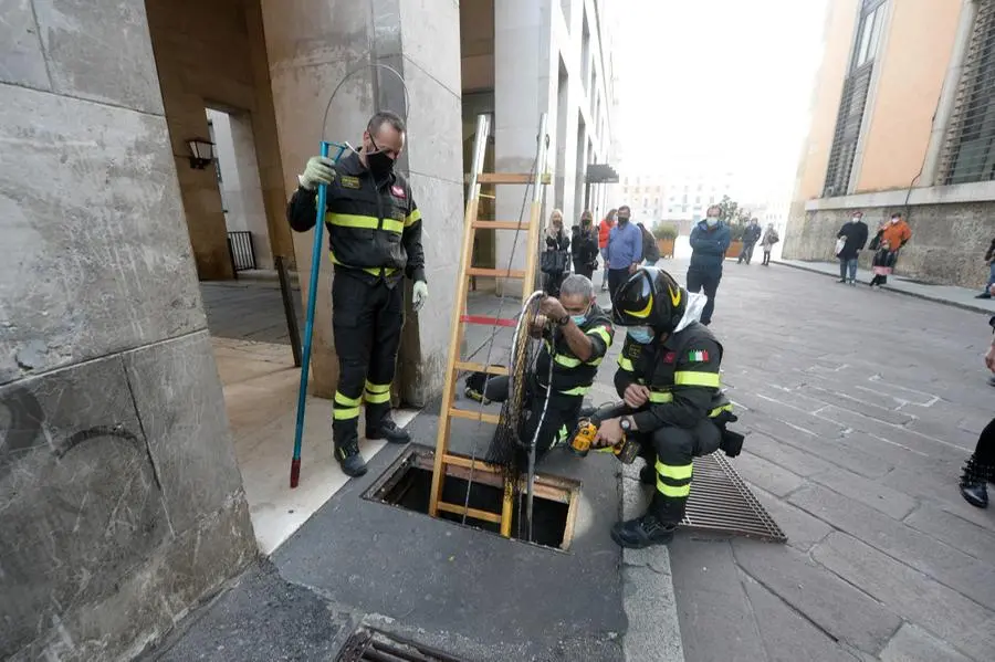 Vigili del fuoco recuperano un gatto finito nella bocca di lupo