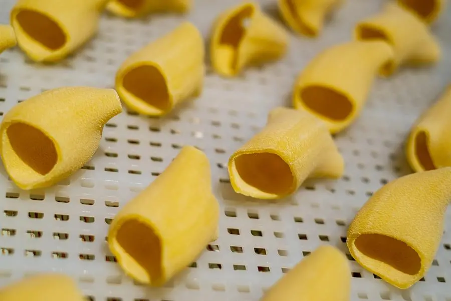 PastaRex, il club per gli amanti della pasta fresca