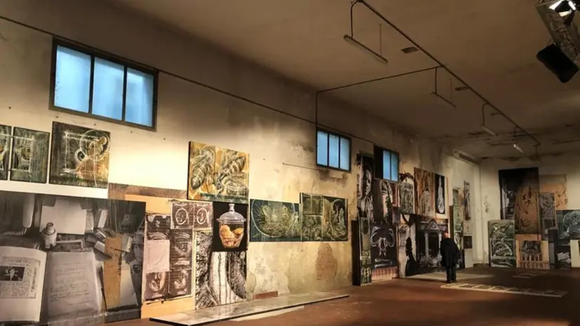 «Animals & travel» realizzata da Giuliano e Roberto Radici