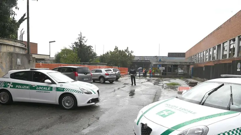 Sgombero e abbattimento Ideal Clima