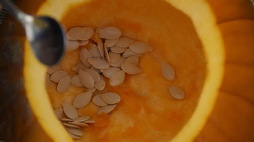 Zucca vuota - © www.giornaledibrescia.it