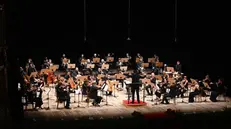 L'orchestra del Bazzini Consort - Foto di Christian Penocchio tratta da bazziniconsort.it