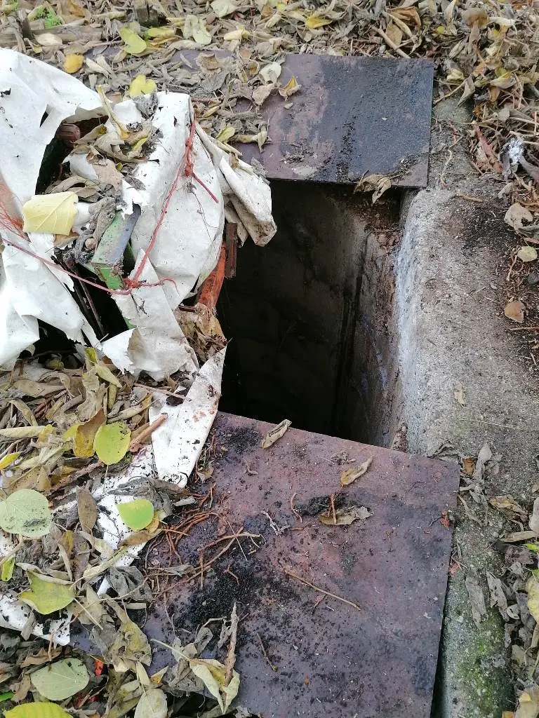Cane cade in un pozzo tra Montirone e Ghedi: salvato