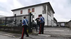 Carabinieri a Paratico all'ingresso dell'azienda teatro del tentato omicidio - Foto Gabriele Strada /Neg © www.giornaledibrescia.it