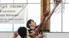 Anche le società di basket tra le beneficiarie del contributo - Foto Newreporter © www.giornaledibrescia.it