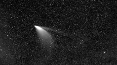 Tutti vogliono ammirare la cometa Neowise