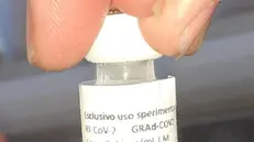 Le prime dosi del vaccino made in Italy pronto alla sperimentazione - Foto tratta da Fb