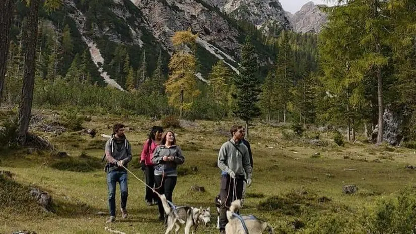 Il trekking è una delle attività più ambite tra Ponte di Legno e Tonale - Foto © www.giornaledibrescia.it