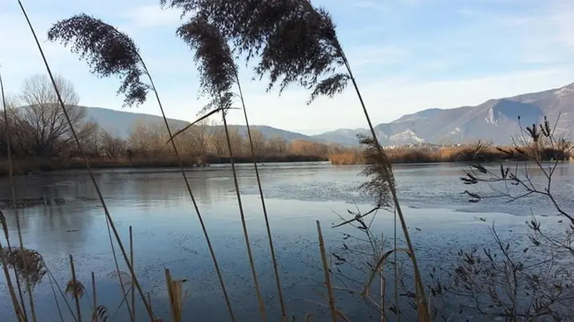 Una panoramica della Riserva delle Torbiere © www.giornaledibrescia.it