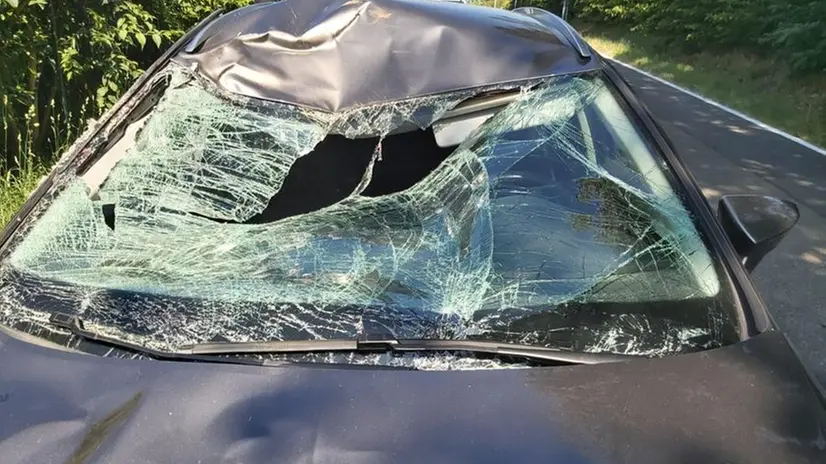 Lonato, cavallo e cavaliere travolti da un'auto