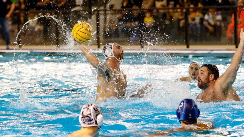 Jacopo Alesiani dell'An Brescia che debutta stasera in Champions League -
Foto New Reporter Nicoli © www.giornaledibrescia.it