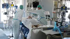Un paziente in terapia intensiva a Cremona - Foto Ansa/Simone Venezia © www.giornaledibrescia.it