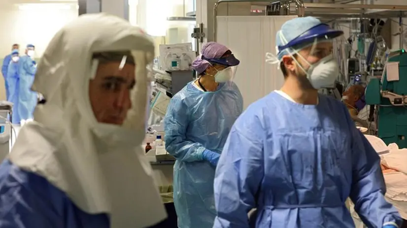 Secondo Anaao va reclutato più personale - Foto Ansa/Policlinico Sant'Orsola di Bologna