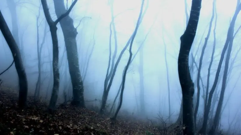 Sale la nebbia - Foto di Fabio Sabadini per Zoom