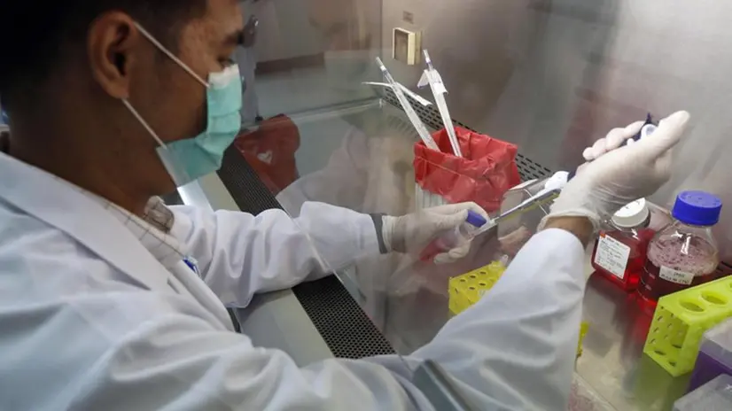 Un test in laboratorio per trovare il vaccino contro il coronavirus - Foto Ansa/Epa © www.giornaledibrescia.it