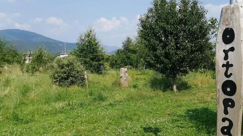 L’Ortoparco è a due passi dall’Abbazia Olivetana