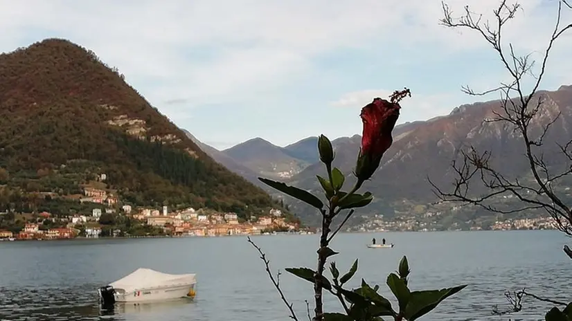 Pescatori solitari sul lago d'Iseo - Foto di Renato Aquilini © zoom.giornaledibrescia.it