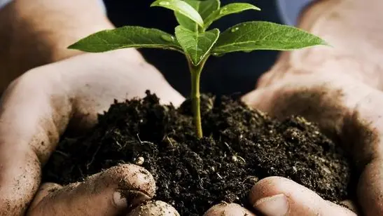 Brescia intende diventare un punto di riferimento nazionale per l’economia circolare, la sostenibilità, l’innovazione verde - © www.giornaledibrescia.it