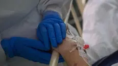 La mano di un'infermiera sostiene quella di una malata - Foto © www.giornaledibrescia.it