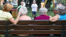 Badanti e anziani - © www.giornaledibrescia.it