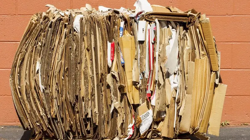 Carta da riciclare © www.giornaledibrescia.it