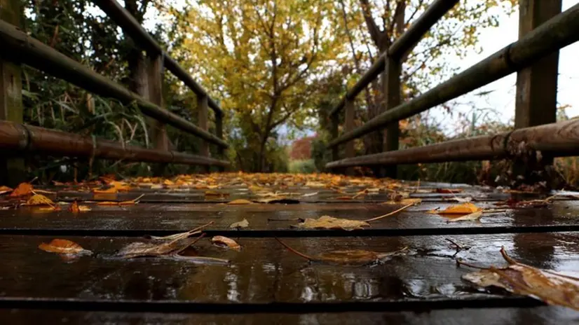 Pioggia d'autunno - Foto di Lady / tratta da zoom.giornaledibrescia.it