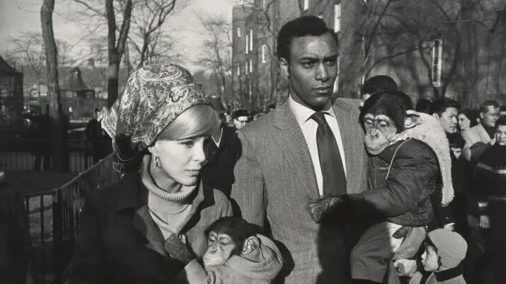 Gary Winogrand, Central Park Zoo, New York, 1967