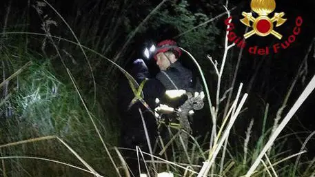 Sul posto sono intervenuti i Vigili del fuoco - Foto Ansa © www.giornaledibrescia.it