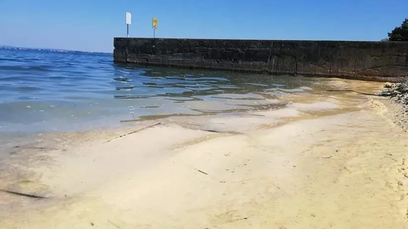 Chiazze gialle nel Basso Garda, tutta colpa delle alghe