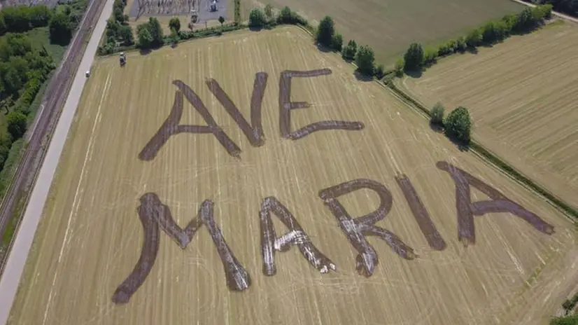 La scritta realizzata in un campo a Manerbio