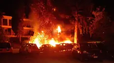 Gardone Riviera, albero e auto in fiamme vicino a Villa Alba