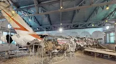 Il relitto del DC-9 Itavia che precipitò nelle acque di Ustica il 27 giugno 1980 - Foto tratta dal Museo Virtuale per la Memoria di Ustica: www.stragediustica.info
