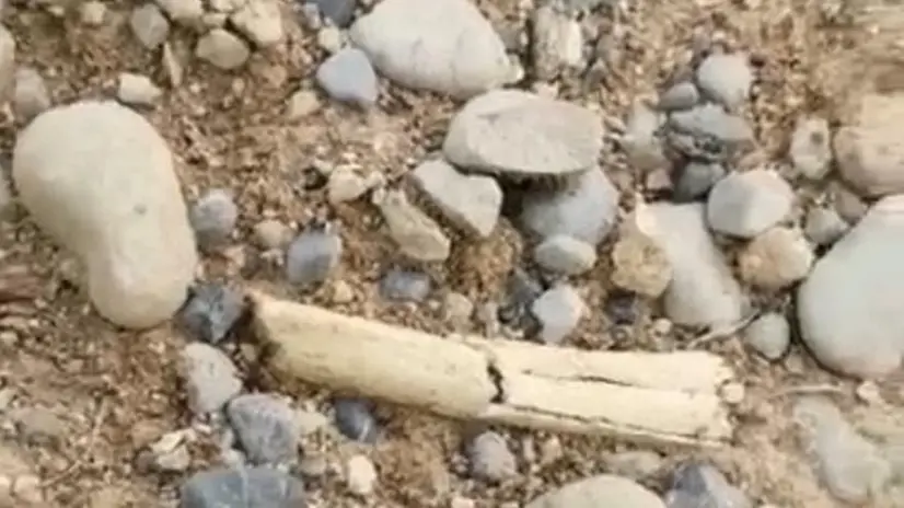 Un frammento di osso affiorato nel cimitero di Carpenedolo - © www.giornaledibrescia.it