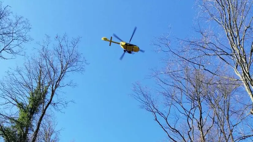Casto, boscaiolo ferito resta schiacciato sotto l'albero abbattuto