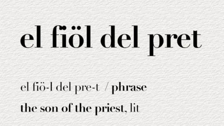 Alcune espressioni dialettali spiegate da «Brescia dice»