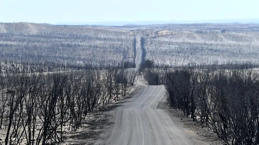 La devastazione dopo le fiamme - Foto Ansa © www.giornaledibrescia.it