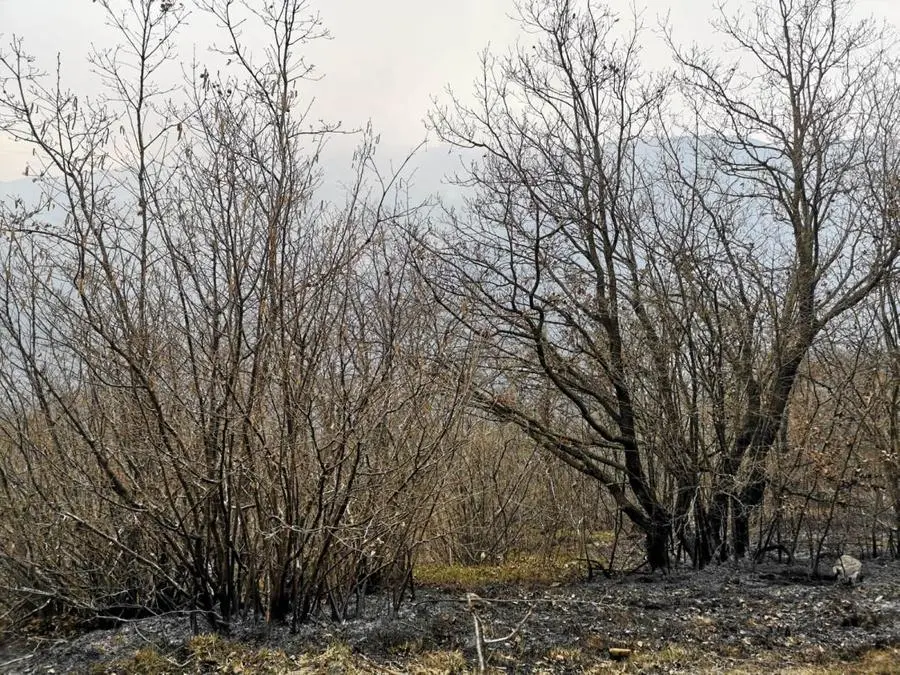 Incendi in Valsabbia, fumo e fiamme per chilometri