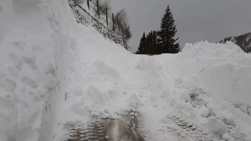 Slavina in Bazena