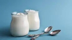 Yogurt - © www.giornaledibrescia.it