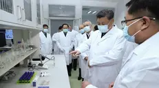 Coronavirus, un laboratorio cinese - Foto Ansa  © www.giornaledibrescia.it